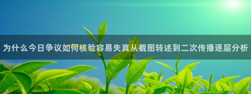 吃瓜不打烊