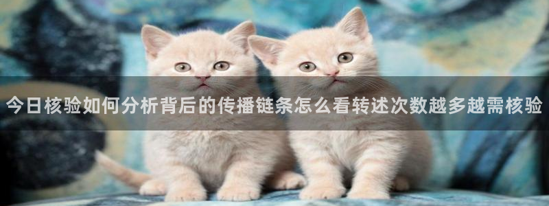 吃瓜盟主:今日核验如何分析背后的传播链条怎么看转述次数越多越需核验