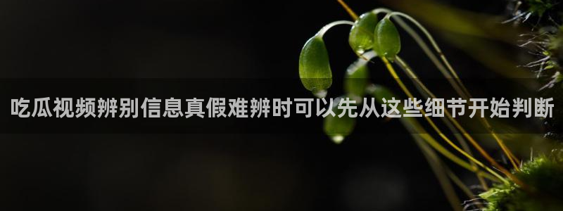 51吃瓜网最新:吃瓜视频辨别信息真假难辨时可以先从这些细节开始判断