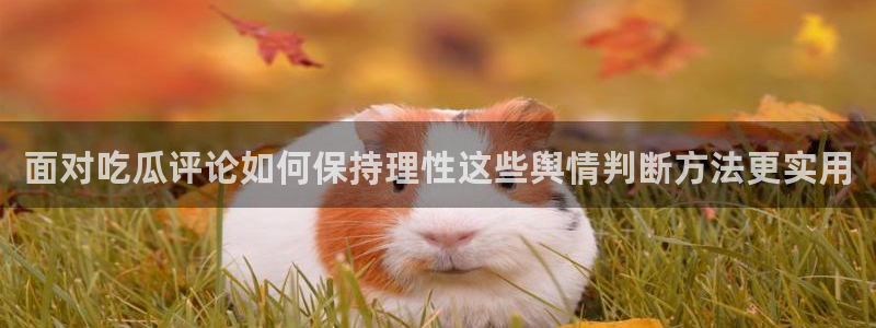 吃瓜盟主：面对吃瓜评论如何保持理性这些舆情判断方法更实用